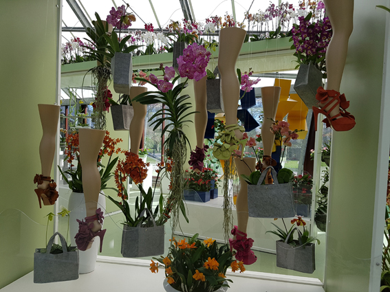 Orchideeënshow van ongekende proportie op Keukenhof