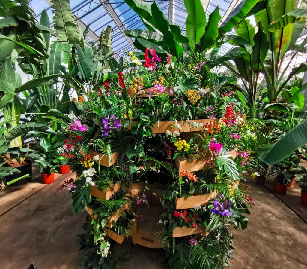 ‘Virtual Plant Bathing’ op Internationale Dag van de Orchidee