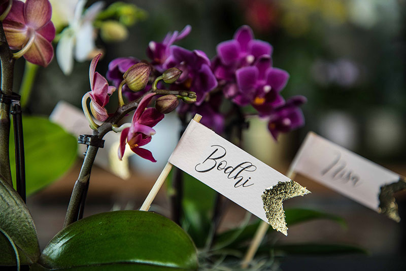 DIY: Orchidee naamkaartjes