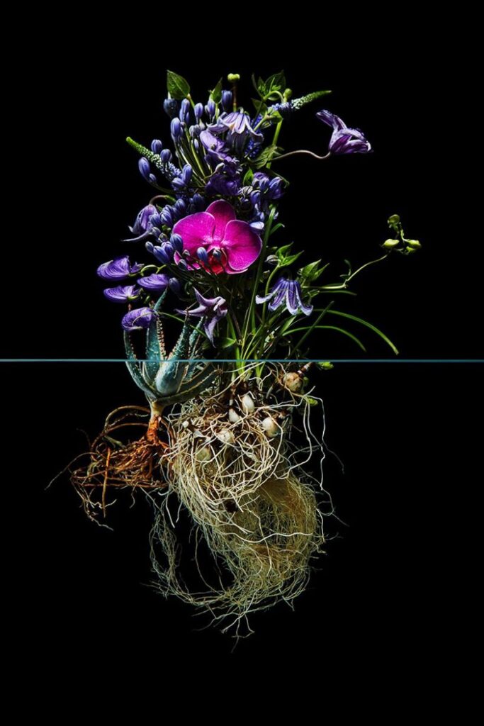 Welkom in de wereld van bloemenkunstenaar Azuma Makoto