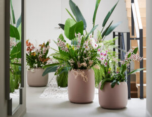 Orchids and green plants: a blooming trend