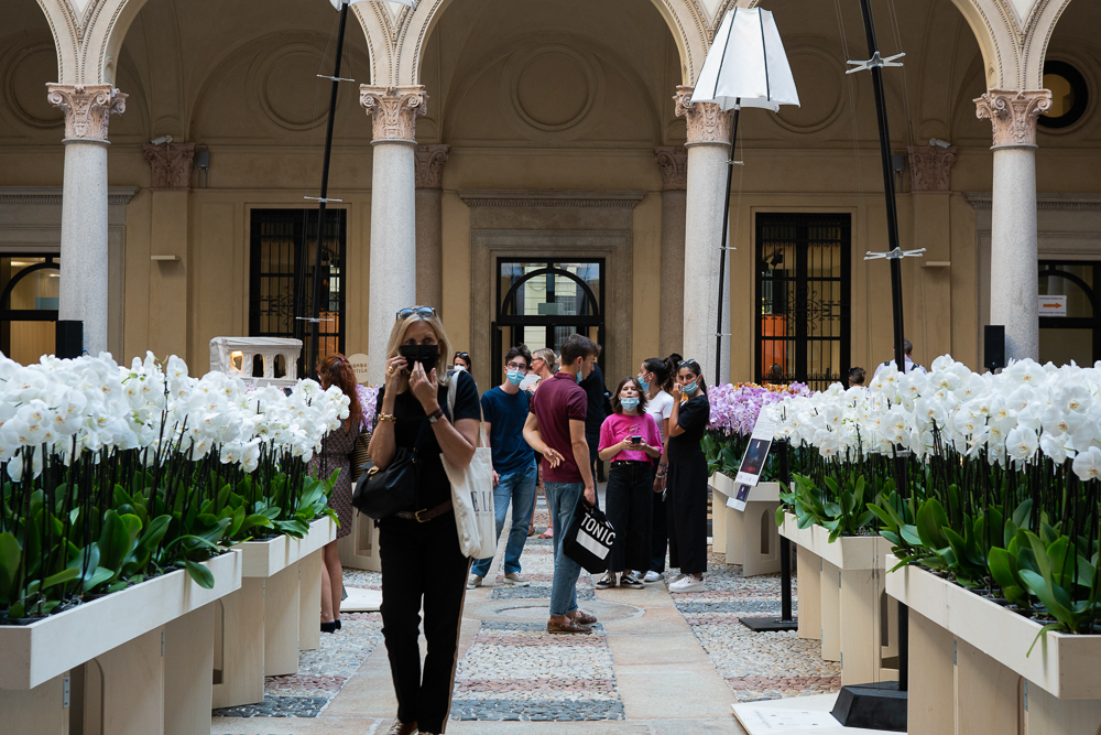 Les orchidées colorent Salone del Mobile pendant la Milan Design Week