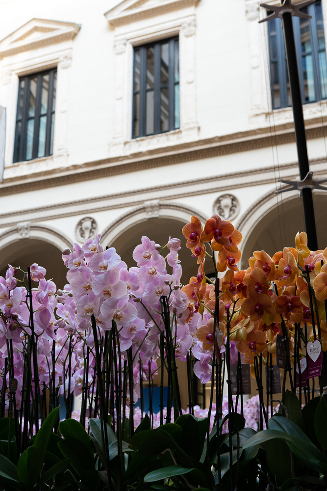Les orchidées colorent Salone del Mobile pendant la Milan Design Week