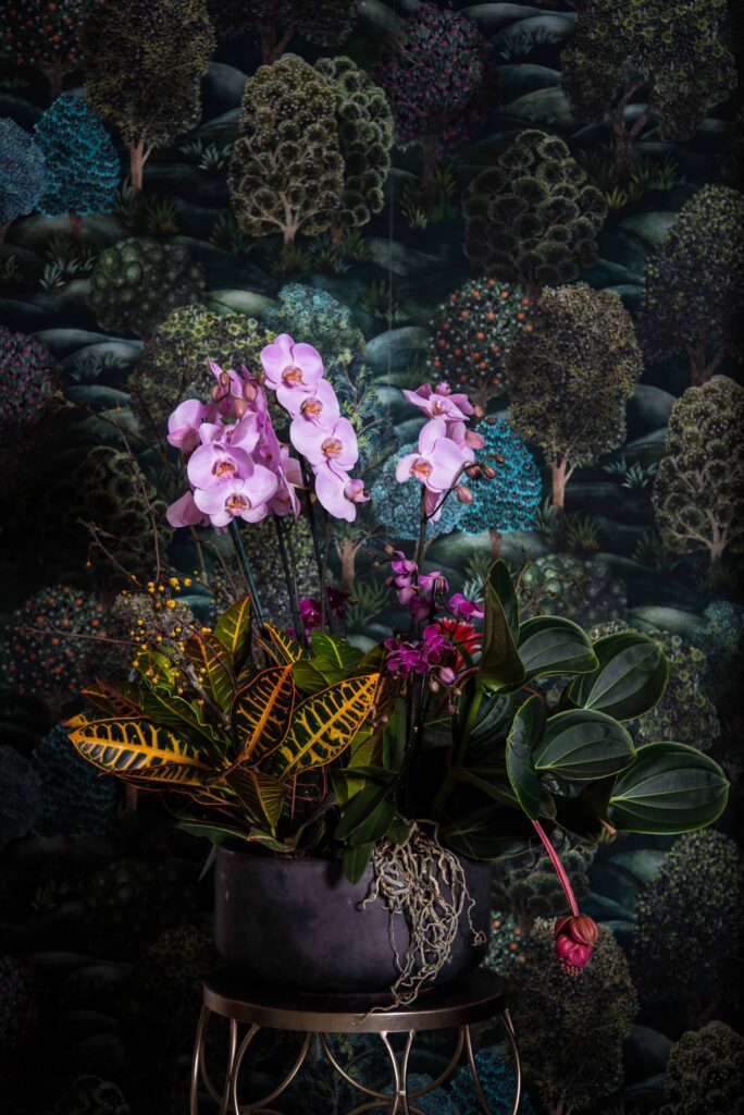 Blumenarrangement mit Orchideen