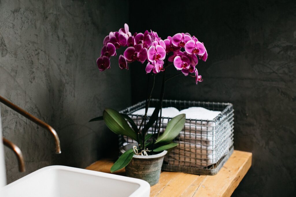 6 ideeën voor de styling van je badkamer met orchideeën