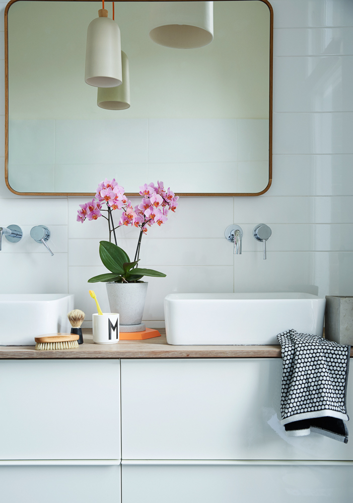 Orchids in your bathroom: the perfect spot!