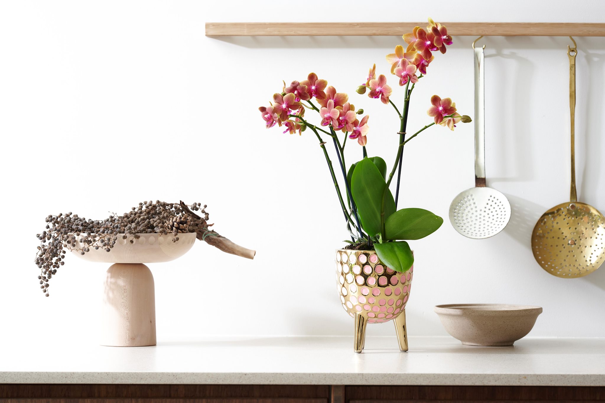 Voeg kleur aan je keuken toe met orchideeën