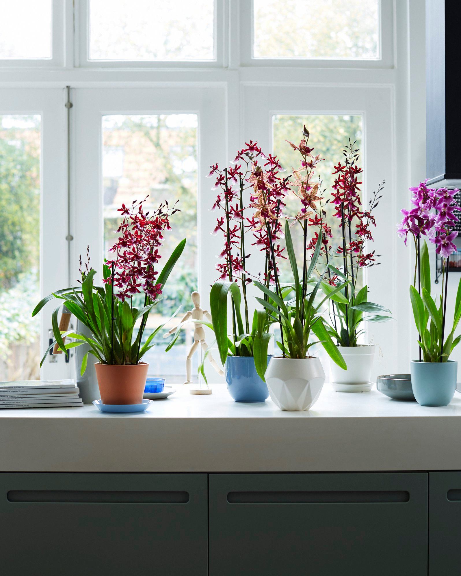 Voeg kleur aan je keuken toe met orchideeën