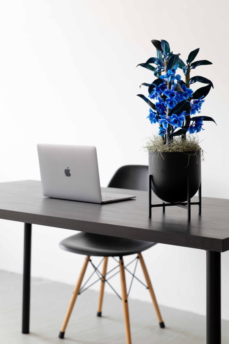 How to brighten up your home office with orchids 3 ideas