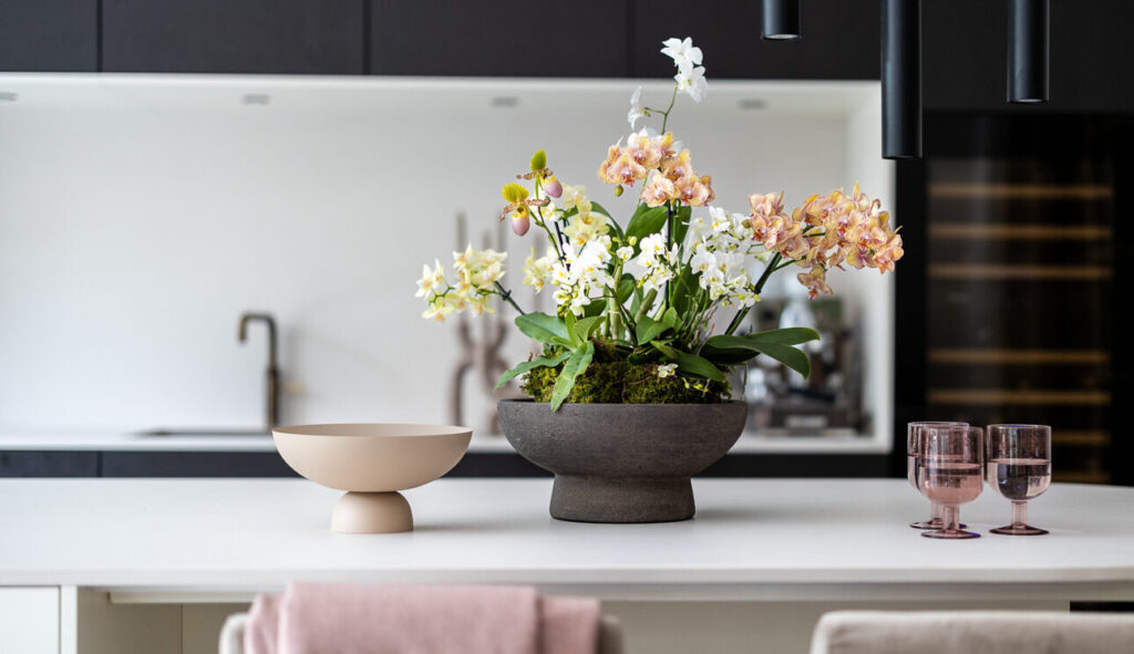 4 tips to keep your orchid blooming for as long as possible